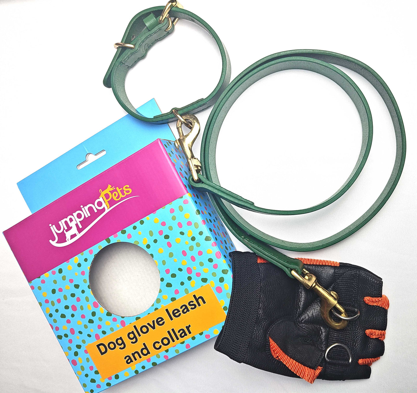 Leather Collar & Leash and Glove with two d-rings